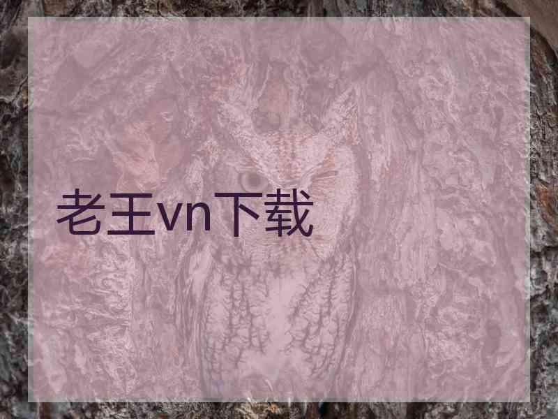 老王vn下载