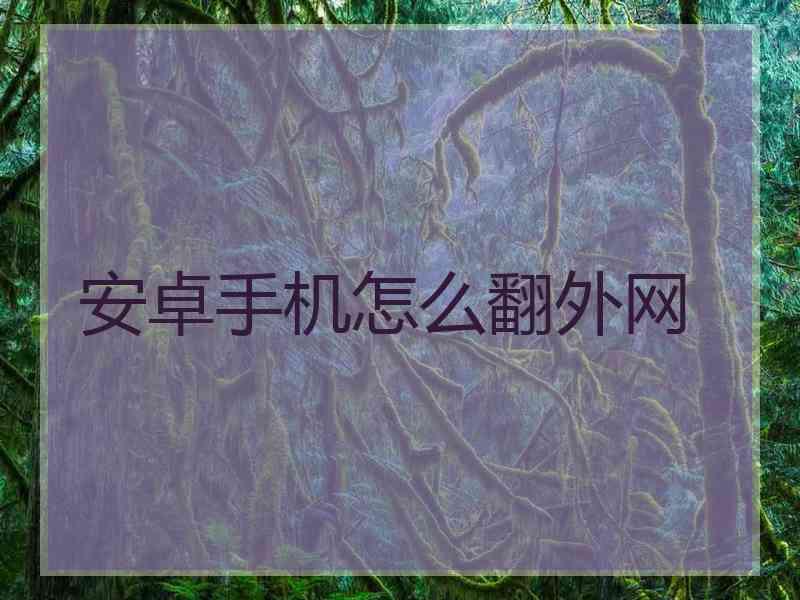安卓手机怎么翻外网