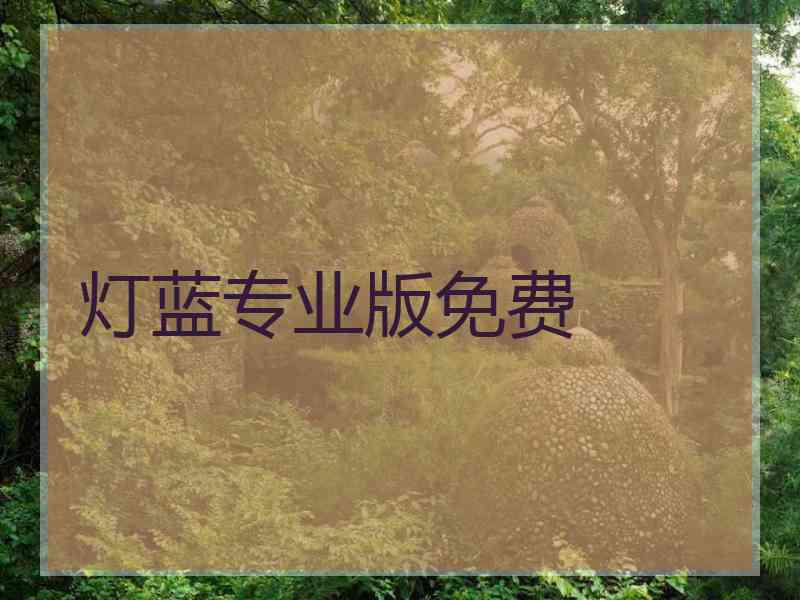 灯蓝专业版免费
