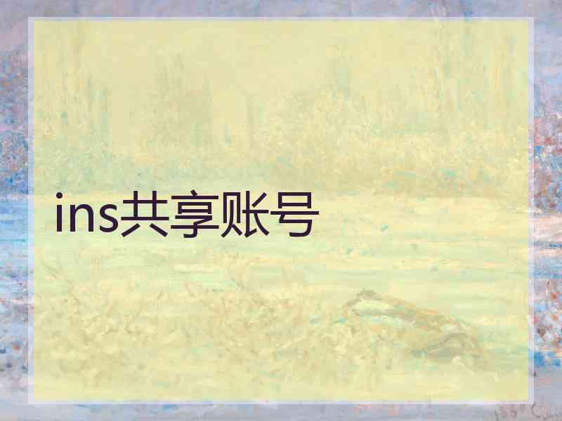 ins共享账号