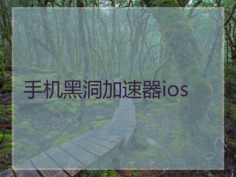 手机黑洞加速器ios