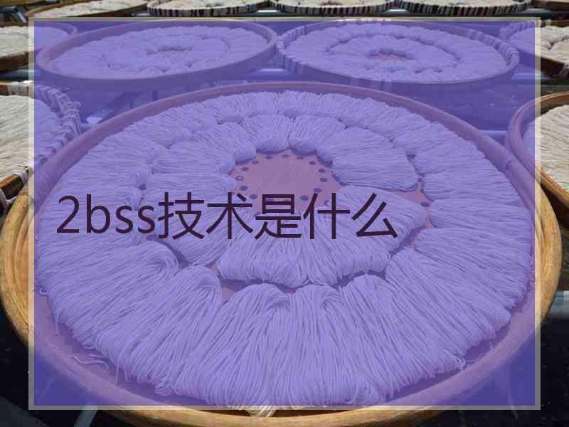 2bss技术是什么