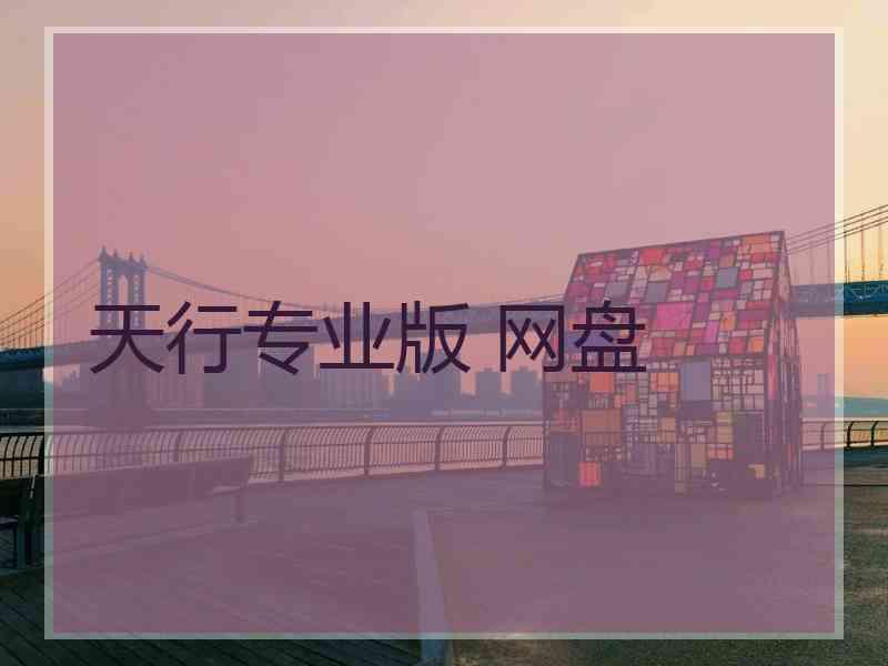 天行专业版 网盘