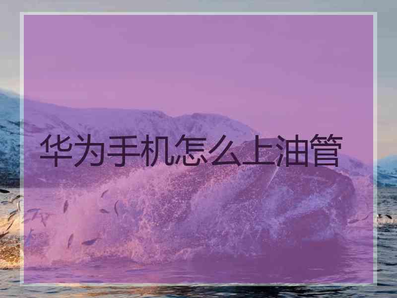 华为手机怎么上油管