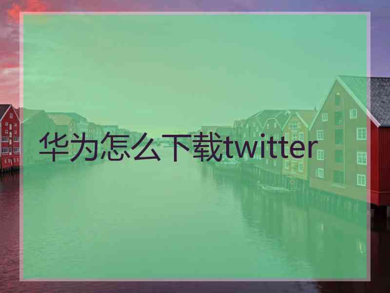 华为怎么下载twitter