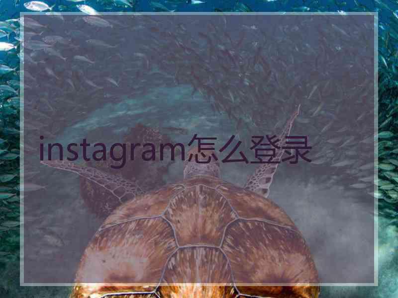 instagram怎么登录
