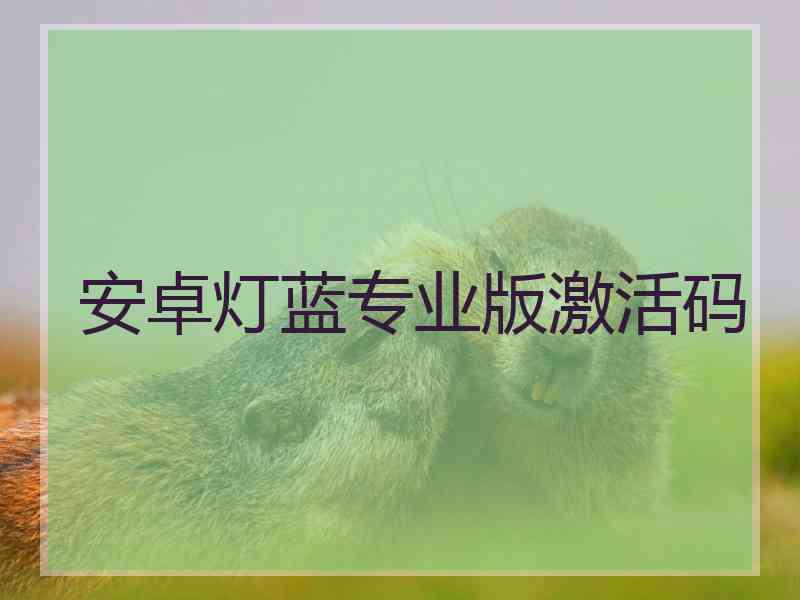 安卓灯蓝专业版激活码