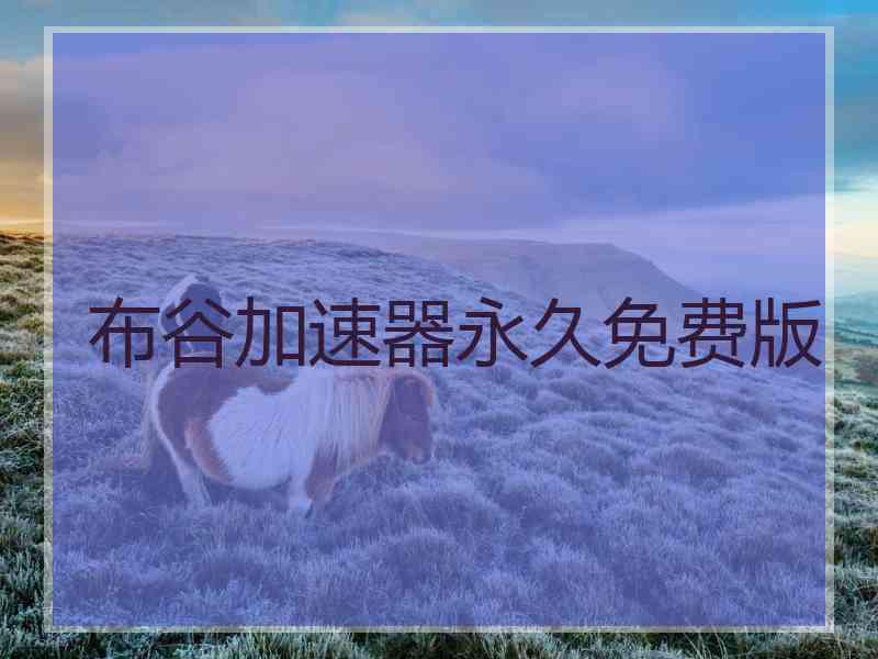布谷加速器永久免费版