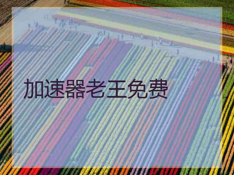 加速器老王免费