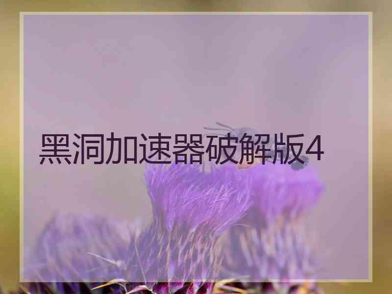 黑洞加速器破解版4