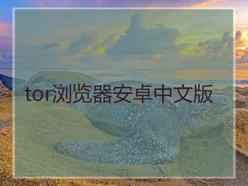 tor浏览器安卓中文版