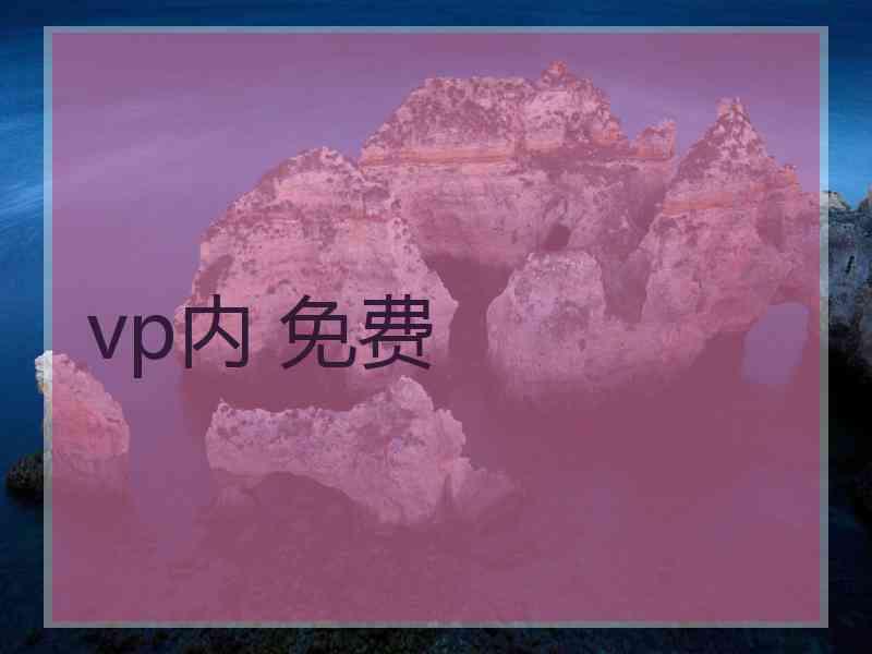 vp内 免费