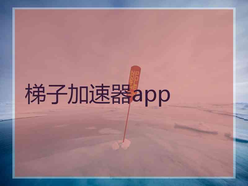 梯子加速器app