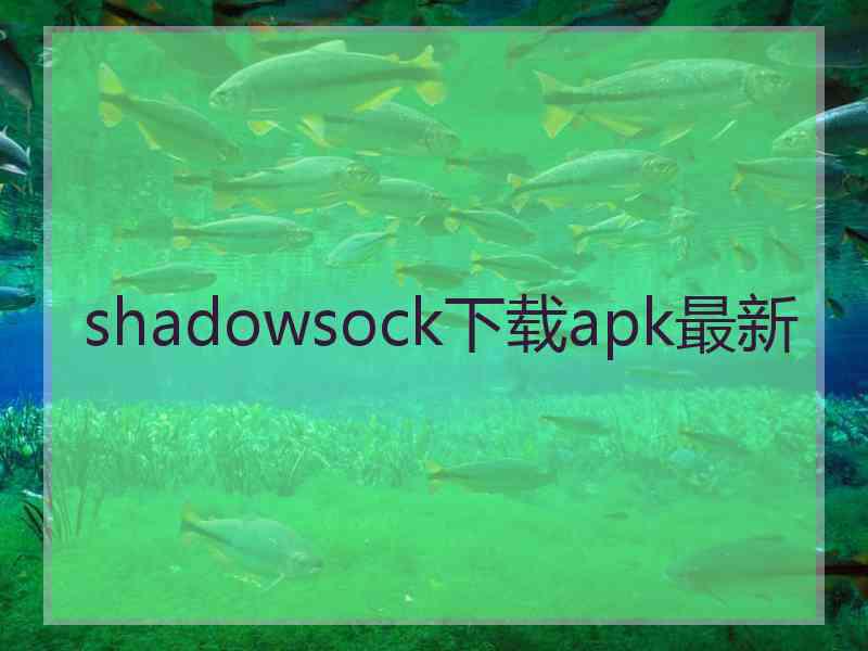 shadowsock下载apk最新