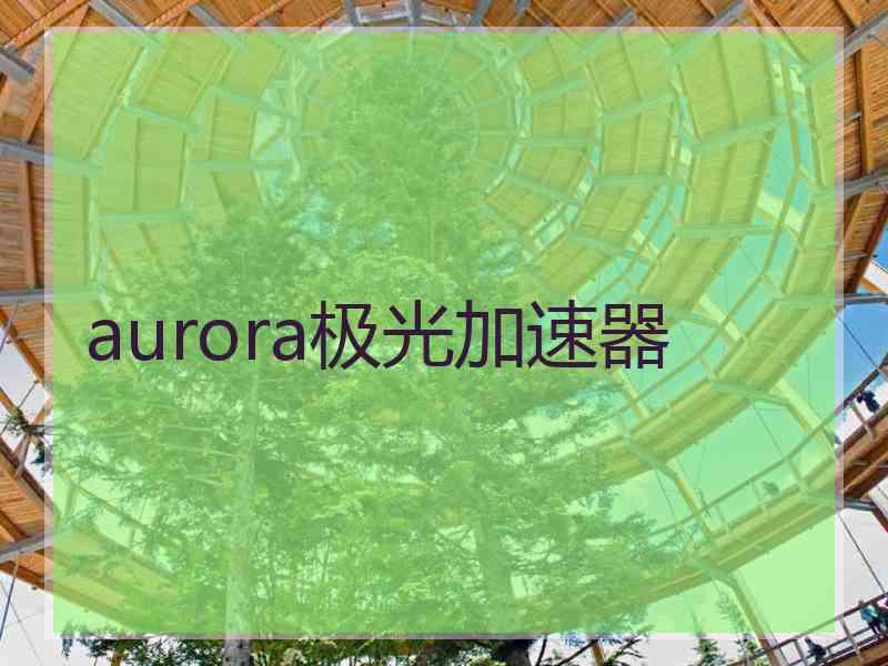 aurora极光加速器