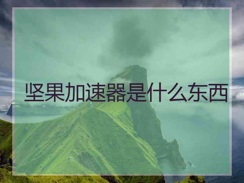 坚果加速器是什么东西