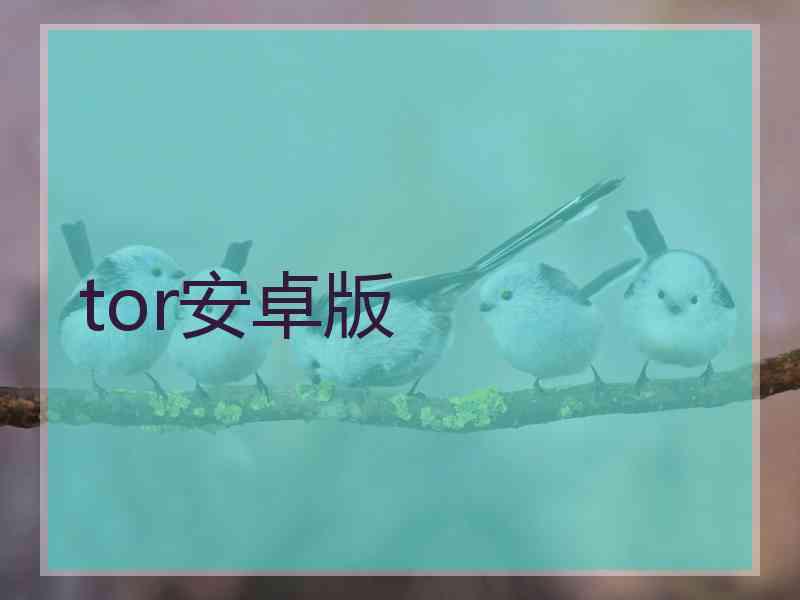 tor安卓版
