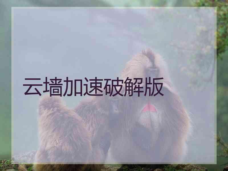 云墙加速破解版