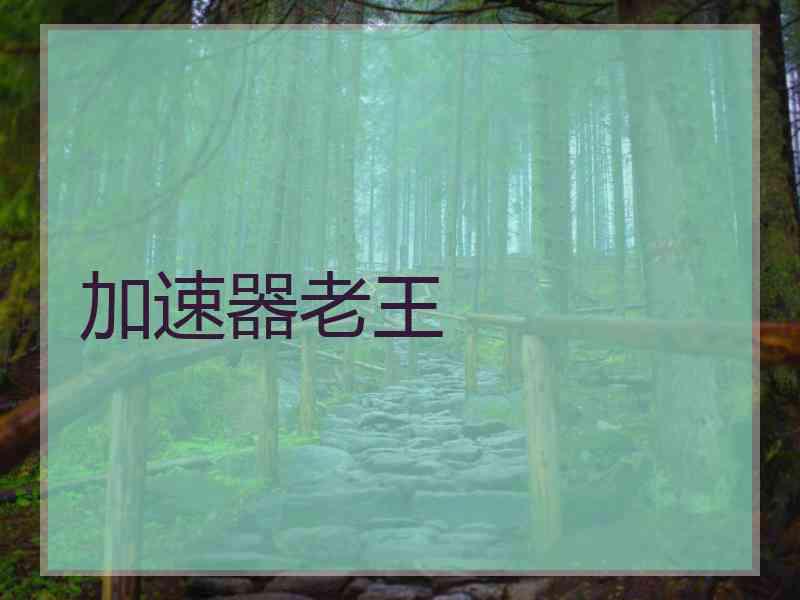 加速器老王