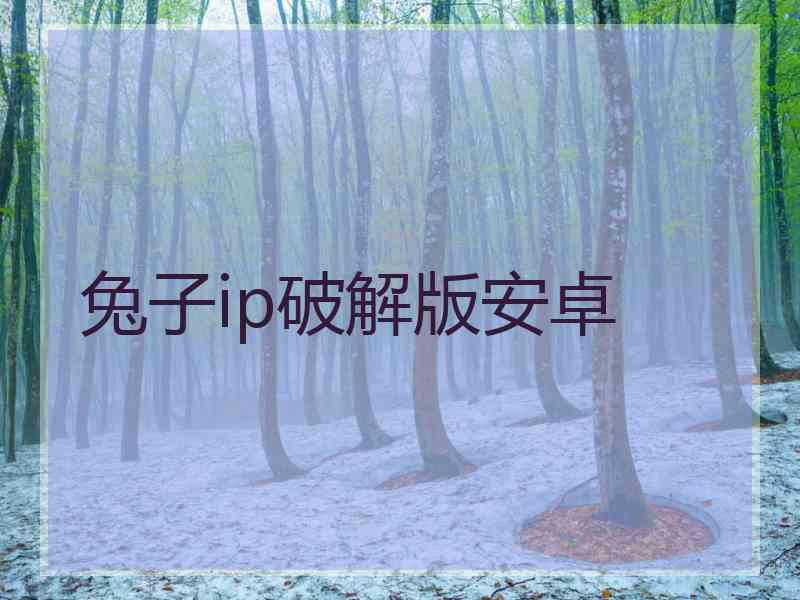 兔子ip破解版安卓
