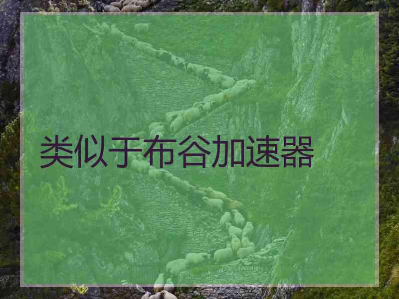 类似于布谷加速器