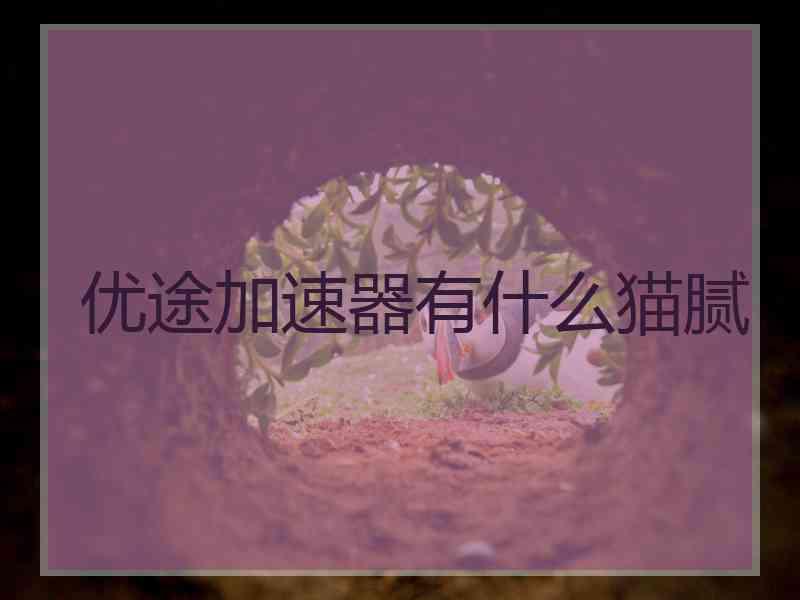 优途加速器有什么猫腻