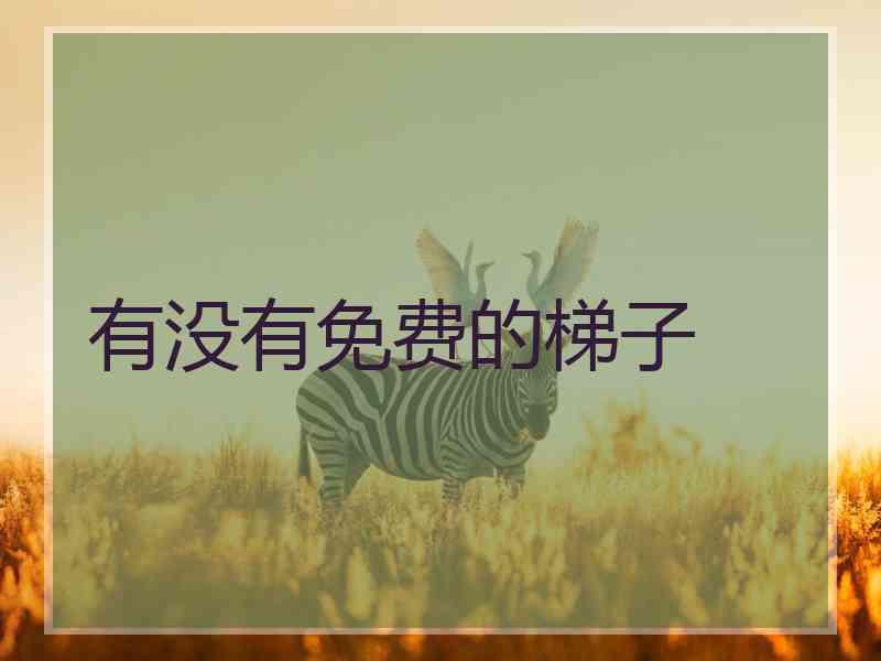 有没有免费的梯子