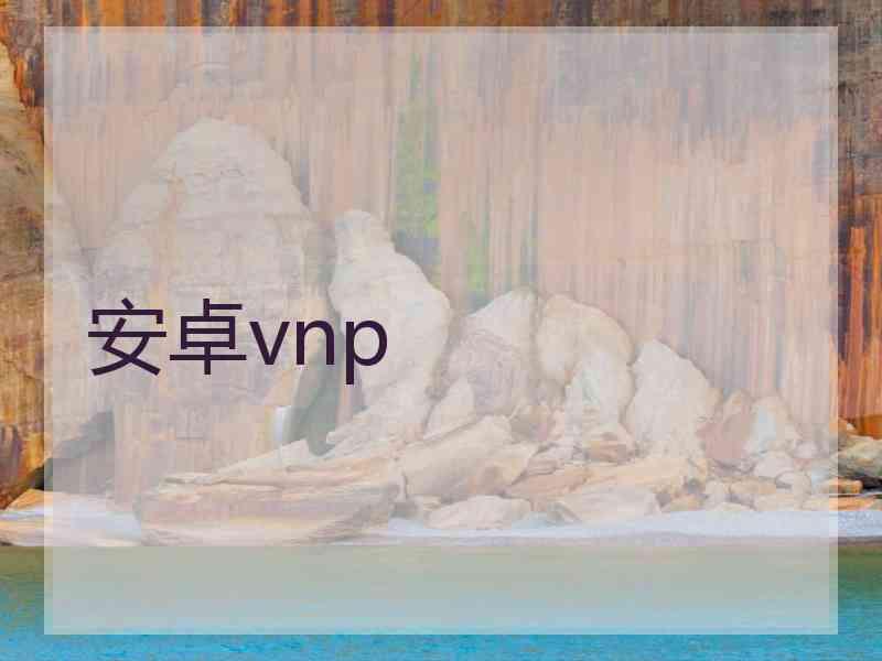 安卓vnp
