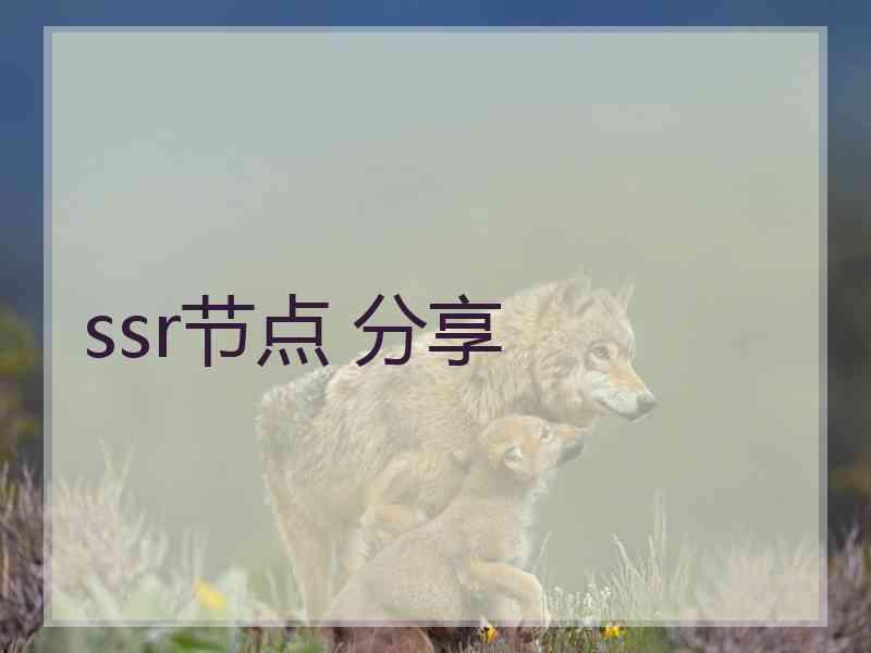 ssr节点 分享