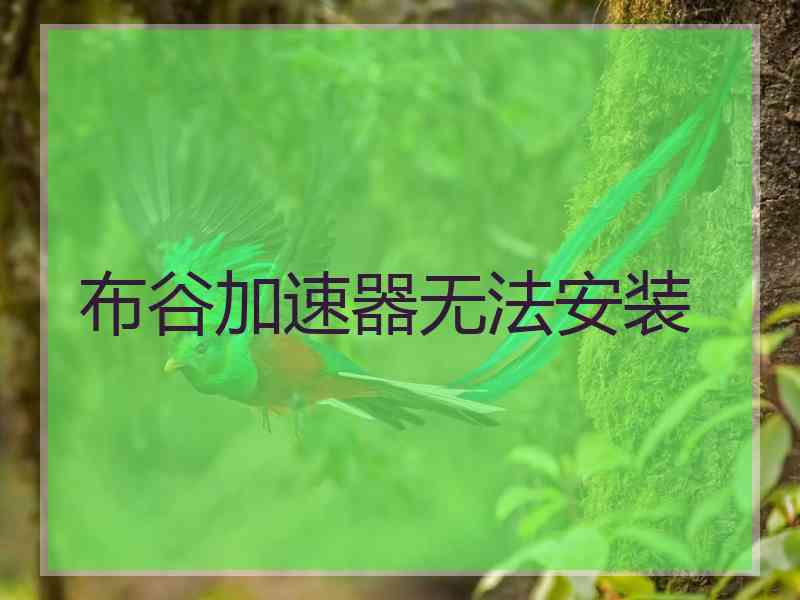 布谷加速器无法安装