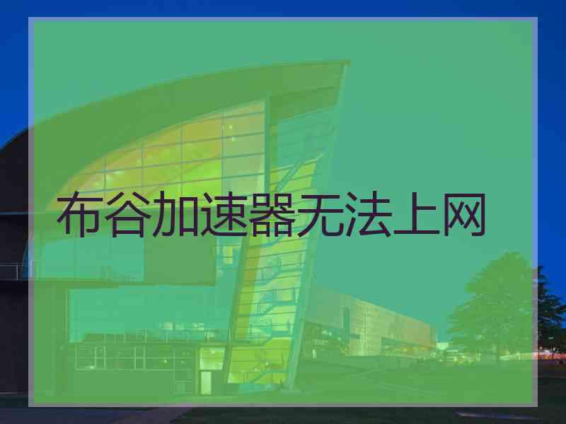 布谷加速器无法上网