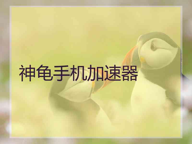神龟手机加速器