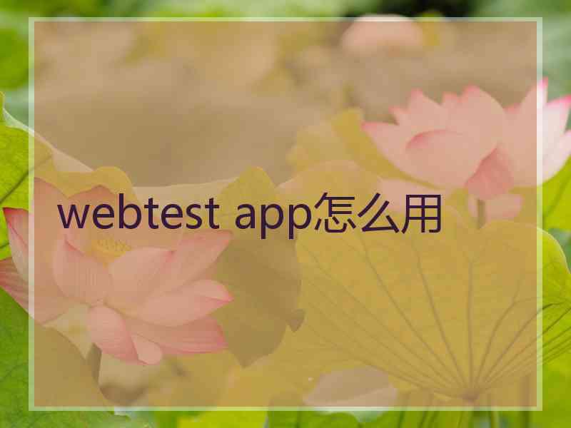 webtest app怎么用