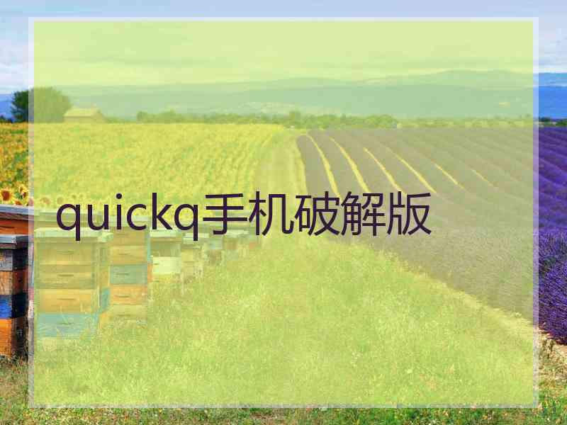 quickq手机破解版