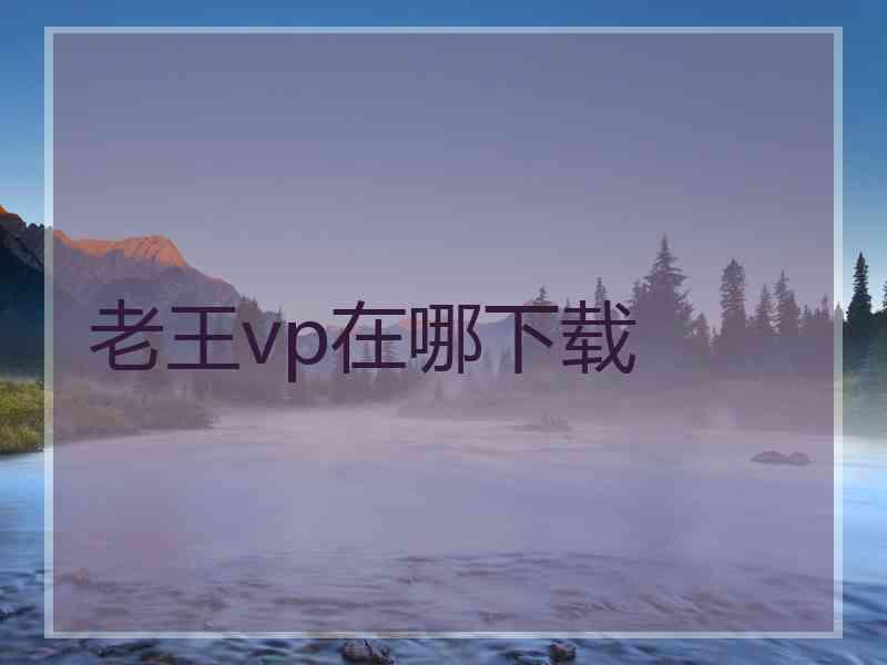 老王vp在哪下载