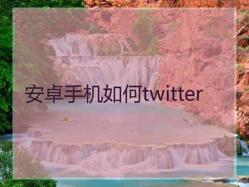 安卓手机如何twitter