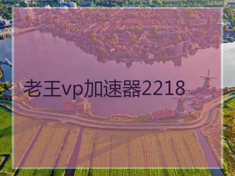 老王vp加速器2218