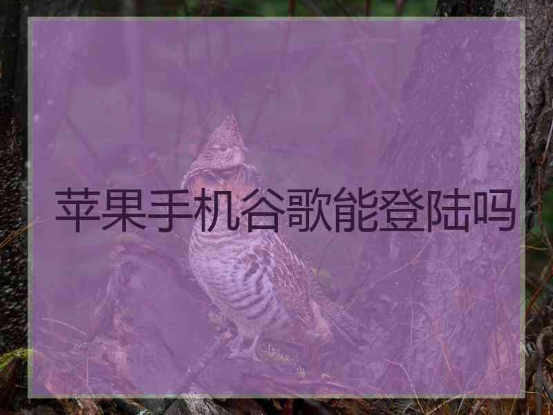 苹果手机谷歌能登陆吗