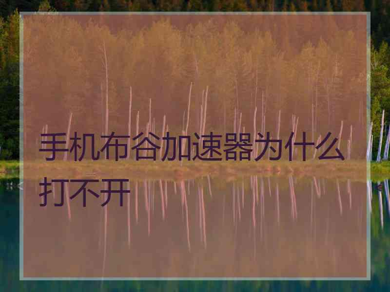 手机布谷加速器为什么打不开