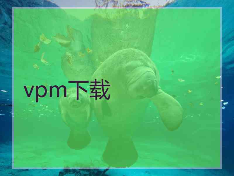 vpm下载