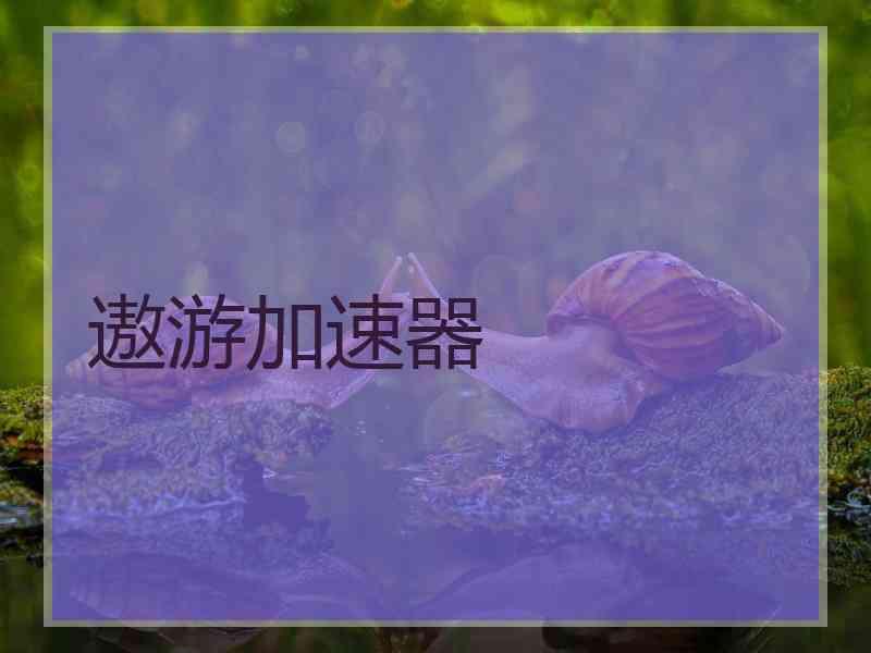 遨游加速器