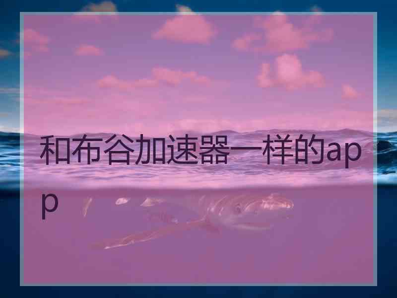 和布谷加速器一样的app