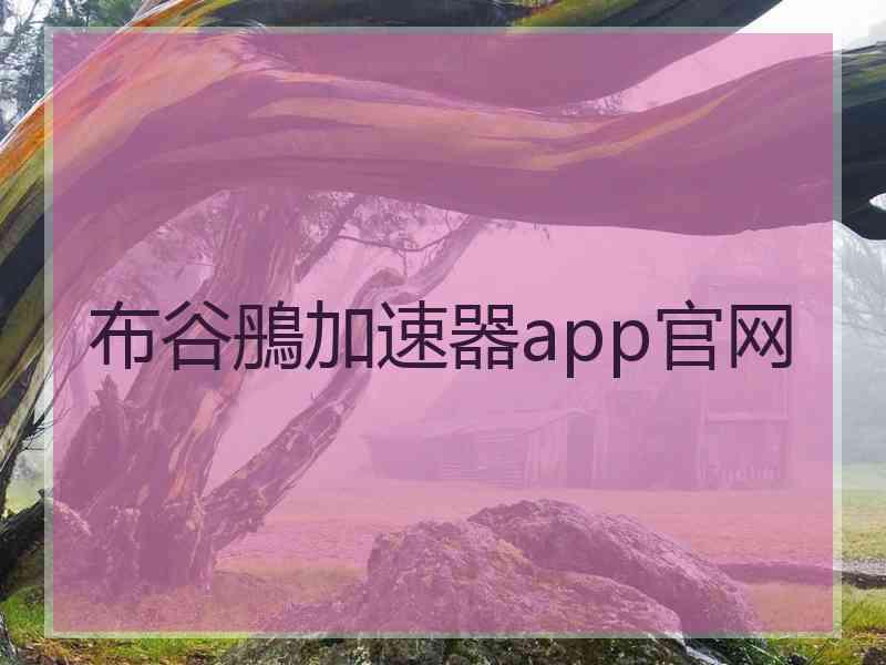 布谷鴅加速器app官网