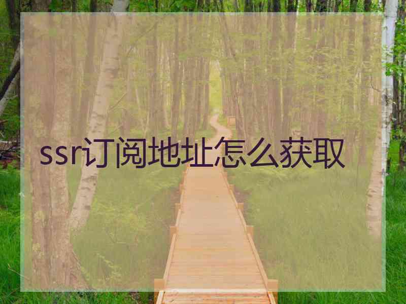 ssr订阅地址怎么获取