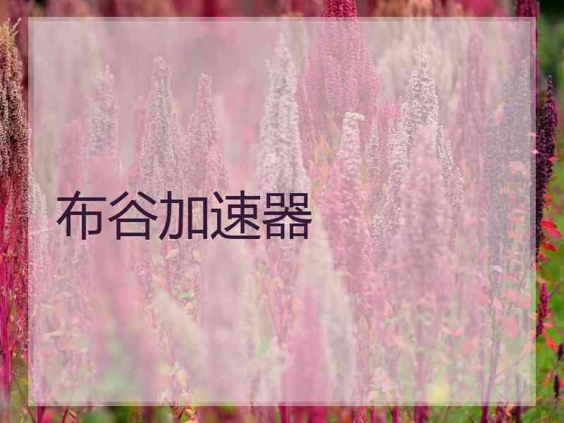 布谷加速器