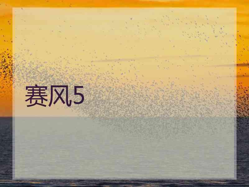 赛风5