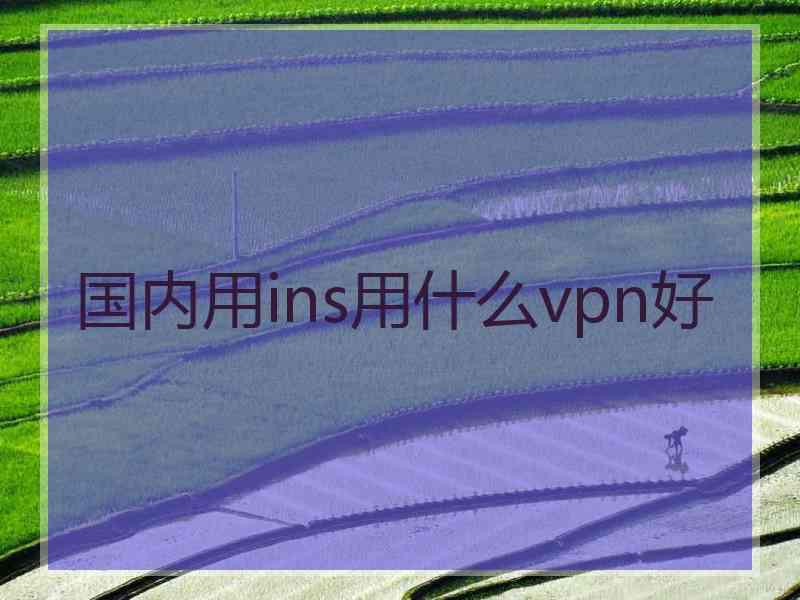国内用ins用什么vpn好