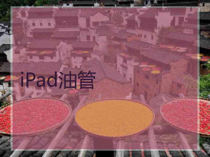 iPad油管