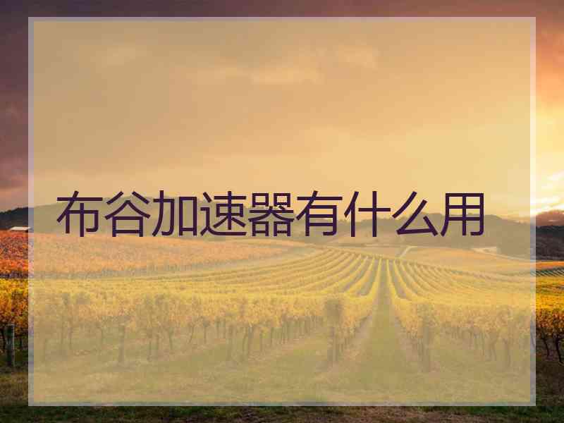 布谷加速器有什么用