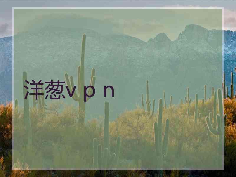 洋葱v p n